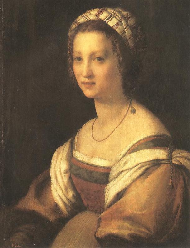 Andrea del Sarto Portrait of the Artist s Wife France oil painting art